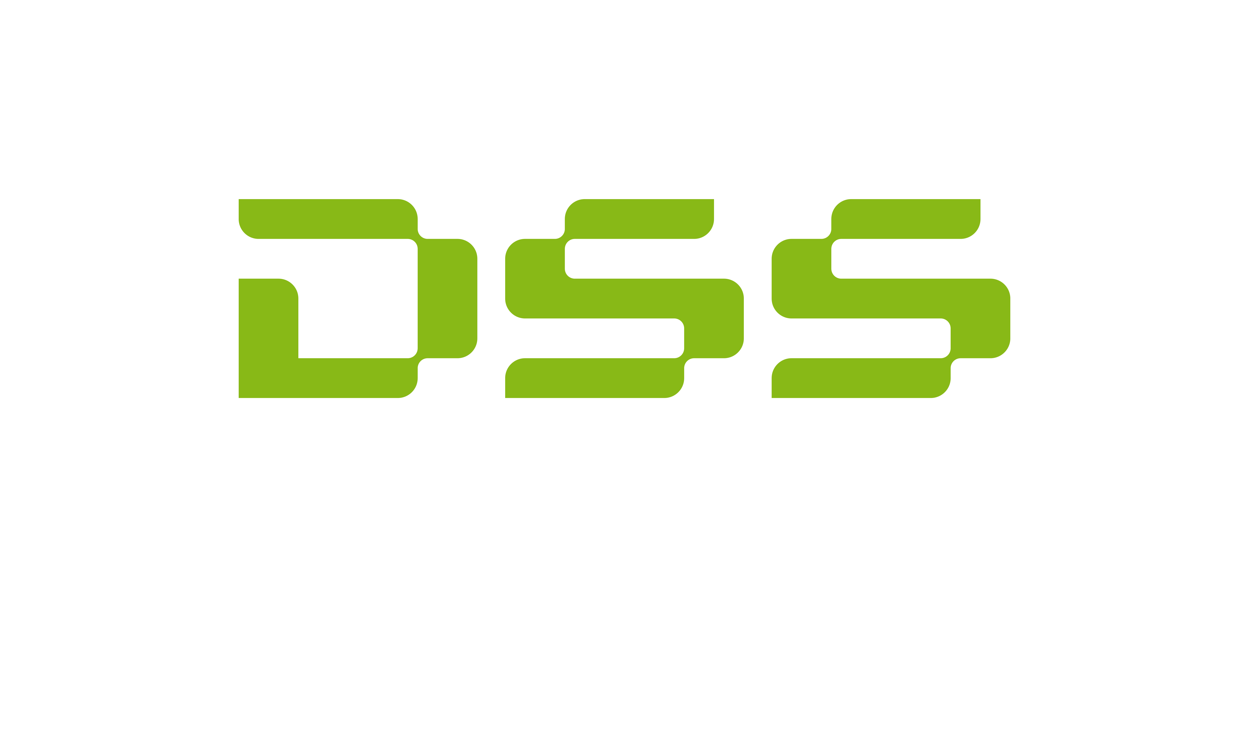 DSS logo