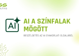 DSS Consulting AI Workshop